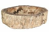 Polished Petrified Wood Dish ( lbs) - Massive #207423-1